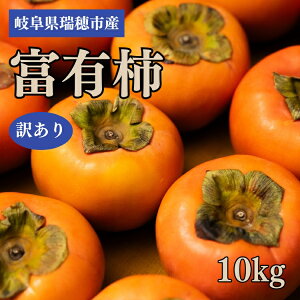 yӂ邳Ɣ[Łz򕌌sY 󂠂xL` 10kg2025N11{`12{ɏ\