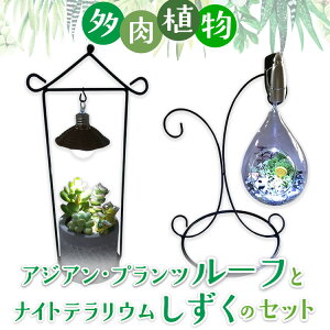 yӂ邳Ɣ[ŁzA@AWAEvc[tƃiCgeẼZbg CeA Ɩ Cg @2025N7{菇\@ւ̔zs