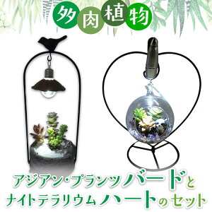 yӂ邳Ɣ[ŁzA@AWAEvco[hƃiCgeEn[g̃Zbg CeA Ɩ Cg @2025N7{菇\@ւ̔zs