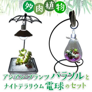 yӂ邳Ɣ[ŁzA@AWAEvcp\ƃiCgeEd̃Zbg CeA Ɩ Cg @2025N7{菇\@ւ̔zs