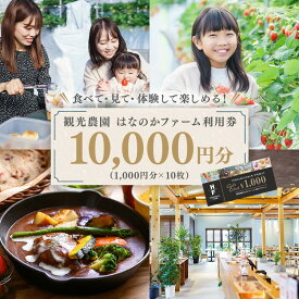 【ふるさと納税】観光農園はなのかファーム利用券10枚綴り チケット 体験チケット いちご狩り カフェ お出かけ 休日　※ 2025年7月中旬頃より順次発送予定　※離島への配送不可