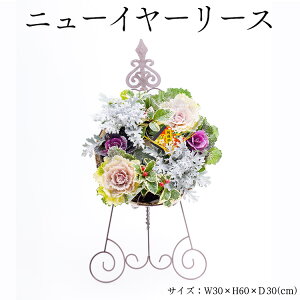 yӂ邳Ɣ[Łzj[C[[X 2025N12{`12{ɏ\