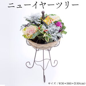 yӂ邳Ɣ[Łzj[C[c[ 2025N12{`12{ɏ\