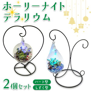 yӂ邳Ɣ[Łzz[[iCgeE2Zbgin[g^A^j 2025N12{`12{ɏ\