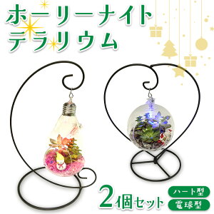 yӂ邳Ɣ[Łzz[[iCgeE2Zbgin[g^Ad^j 2025N12{`12{ɏ\