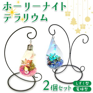 yӂ邳Ɣ[Łzz[[iCgeE2Zbgi^Ad^j 2025N12{`12{ɏ\