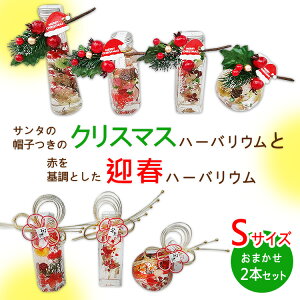 yӂ邳Ɣ[ŁzT^̖Xq̃NX}Xn[oEƐԂƂ}tn[oE@STCY܂2{Zbg b CeA A   Cxg ~ N₩ ӏ 