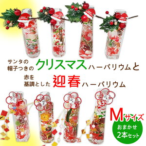 yӂ邳Ɣ[ŁzT^̖Xq̃NX}Xn[oEƐԂƂ}tn[oE@MTCY܂2{Zbg b CeA ւ̔zs 2025N12{`12{