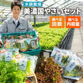 【ふるさと納税】【選べる配送回数・内容量】美濃国やさいセット ｜ 野菜 野菜セット レタス フリルレタス 水耕栽培 安全 安心 衛生的 新鮮 シャキシャキ 産地直送 サラダ サンドイッチ 詰合せ