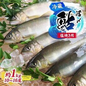 【ふるさと納税】塩焼き用 活〆鮎 1kg （10尾～16尾）　【魚貝類 川魚 アユ】　お届け：2024年6月上旬～2024年9月中旬まで