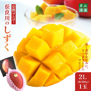 yӂ邳Ɣ[ŁzӐn}S[1聦NWbgς̂݉ʕ t[cbʕ t[c { ̂ꂽ  񂹃O fU[g XC[c  p 蕨 Mt