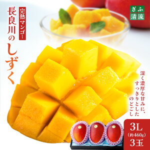 yӂ邳Ɣ[ŁzӐn}S[ 3Zbg ʕ t[cbʕ t[c { ̂ꂽ  񂹃O fU[g XC[c  p 蕨 Mtg v[g 