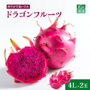 yӂ邳Ɣ[Łz{{Ђ̃hSt[c 4LTCY2 ʕlbʕ t[c { ̂ꂽ  񂹃O fU[g XC[c  p 蕨 Mtg v[