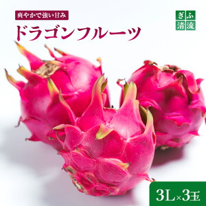 yӂ邳Ɣ[Łz{{Ђ̃hSt[c 3LTCY3 ʕlbʕ t[c { ̂ꂽ  񂹃O fU[g XC[c  p 蕨 Mtg v[