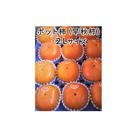 【ふるさと納税】こだわり栽培ポット柿（早秋柿） 2Lサイズ12個入り｜果物類 かき ※離島への配送不可 ※2025年10月中旬～11月上旬頃に順次発送予定