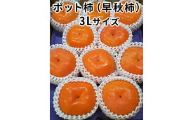 【ふるさと納税】こだわり栽培ポット柿（早秋柿）3Lサイズ9個入り｜果物類 かき ※離島への配送不可 ※2025年10月中旬～11月上旬頃に順次発送予定