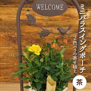 yӂ邳Ɣ[Łz~joXCO|[`iFj2`3F̃o̊񂹐A A @2026N4{`5{ɏ\@ւ̔zs