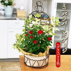 yӂ邳Ɣ[Łz~joo[hQ[W@wfƃo2F񂹐A̒ A @2026N4{`5{ɏ\@ւ̔zs