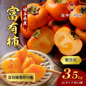 yӂ邳Ɣ[Łz͂₵`̑pxL`3.5kg 2LTCY 12 x Z H̖o Mtg 2025N11{菇\ ւ̔zs