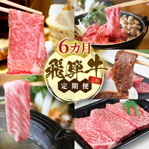 yӂ邳Ɣ[Łzˋ A5 喞 ˋO 6  bA5 Xe[L J[   [X Ԑg  a Y Ԑg uh  lC  邲 j 