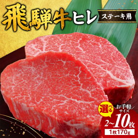 【ふるさと納税】【選べる内容量】【お歳暮】飛騨牛 ヒレ 170g ｜340g 510g 850g 1360g 2000g 1.36kg 2kg 牛肉 和牛 国産 牛ヒレ ヒレ肉 牛ヒレ肉 ヒレステーキ フィレステーキ ひれ フィレ フィレ肉 おすすめ ギフト 贈答用 贈答 希少部位 瑞穂市 岐阜県 ※離島への配送不可