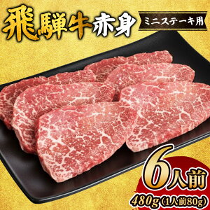 【ふるさと納税】飛騨牛赤身ミニステーキ(6人前) モモ お肉 牛肉 |ステーキ 飛騨牛 肉 牛肉 和牛 国産 赤身 牛 ブランド牛 お取り寄せ グルメ 人気 おすすめ オススメ 夜ご飯 晩ご飯 おか