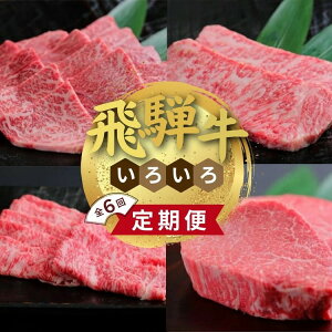 【ふるさと納税】飛騨牛いろいろ定期便 毎月お届け全6回 サーロイン お肉 牛肉 ステーキ 焼肉 バーベキュー  お届け:2週間〜1か月程度でお届け予定です。