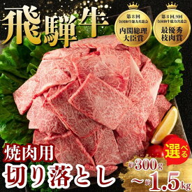 【ふるさと納税】【選べる内容量】飛騨牛 焼肉 切り落とし 300g～1.5kg | 牛肉 肉 牛 切落し 国産 訳あり 訳アリ わけあり ワケアリ 焼肉用 焼き肉 焼き肉用 不揃い 冷凍 バーベキュー BBQ おかず ご飯 家用 家庭用 人気 ランキング 岐阜 瑞穂市