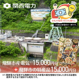 【ふるさと納税】ふるさとECOプラン from 飛騨市　水と森ゆたかな岐阜県飛騨市産のCO2フリーの電気と飛騨市の特産品カタログ 関西電力