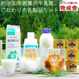 【ふるさと納税】＜牧成舎＞牛乳 ヨーグルト チーズ よりどり6種 セット 飛騨産生乳で作ったこだわりの乳製品セット ヨーグルト ギフト まとめ買い 牧成舎 [B0096]