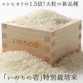 【ふるさと納税】いのちの壱3kg×12ヶ月 12回 定期便 特別栽培米 玄米対応可能[Q2381] syun214