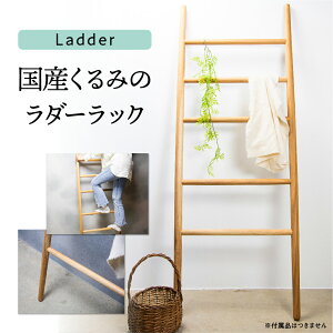 yӂ邳Ɣ[ŁzLadder Y ؐ͂ ͂ nK[bN _[bN CeA [Q1854]