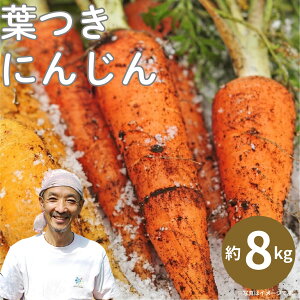 yӂ邳Ɣ[Łzsʌt󂠂 s Ђݗt yfCt L@lQ h{I 8kg Q\Ö@ɂЂpIɂ񂶂 jW lQ A 킯 PA ƒ