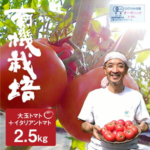 yӂ邳Ɣ[Łzy2025NYs\zsԁEʌt RNƎ|̗L@ʃg}g T}c@[m pg}g 肪Ƃt@[ L@JASF 2.5kg Ƃ܂  Â Y Y 