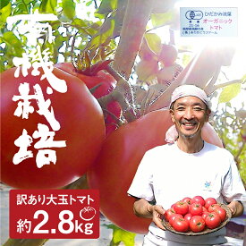 【ふるさと納税】【令和8年産 先行予約】《期間・数量限定》コクと旨味の有機大玉トマト 有機JAS認定 2.8kg とまと 大玉 ありがとうファーム 甘い 特産 国産 野菜 訳あり 旬 有機野菜 訳アリ 送料無料 [Q634x]10000円 1万円