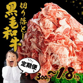 【ふるさと納税】《選べる内容量・定期便》飛米牛 切落しスライス 300g 〜 1.8kg 発送 スライス 黒毛和牛 和牛 牛肉 肉 国産牛 定期 定期便 牛丼 焼肉 切落し 不揃い 切り落とし 訳アリ 訳あり わけあり 小分け 使い切り 大容量 7000円 10000円 1万円 どやな飛騨市