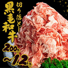 【ふるさと納税】 飛米牛 切落しスライス 200g 〜 1.2kg 発送 スライス 黒毛和牛 和牛 牛肉 肉 国産牛 定期 定期便 牛丼 焼肉 切落し 不揃い 切り落とし 訳アリ 訳あり わけあり 小分け 使い切り 大容量 7000円 10000円 1万円 どやな飛騨市