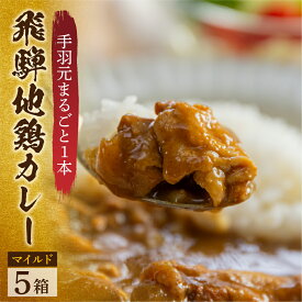 【ふるさと納税】訳あり 飛騨地鶏カレー(5袋) チキンカレー 地鶏 鶏肉 鳥 カレー マイルド レトルトカレー 人気 おすすめ おいしい 便利 飛騨 飛騨地鶏 一人暮らし 1人用 1人分 2人用 2人分 10000円 1万円 ご当地カレー 簡易包装 パウチ梱包 [Q2481]