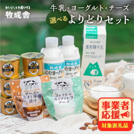 【ふるさと納税】【2週間以内に発送】乳製品セット モッツァレラチーズ ヨーグルト 牛乳 飲むヨーグルト 食べ比べ 訳あり 選べる よりどりセット ヨーグルト 牧成舎 日時指定可 1万円 10000円 [B0096] 飛騨市 ミルクPJ 定期便 どやな飛騨市