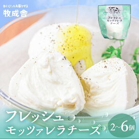 【ふるさと納税】 モッツァレラチーズ チーズセット 冷蔵 選べる 訳あり 訳アリ 小分け 個包装 ピザ サラダ おつまみチーズ 乳製品 お試し 牧成舎 日時指定可 ミルクPJ 定期便 詰め合わせ どやな飛騨市 2回 6回 定期便 6000円 10000円 1万円