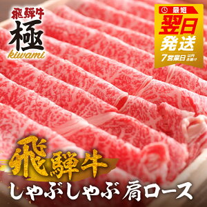 yӂ邳Ɣ[Łzt!! ʓeʁ ˋ [XԂԗp 500g~700g(Iׂ e) ˋ J^[X [X Ԃ vI  a  Y  ʏ or 12