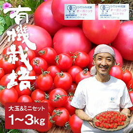 【ふるさと納税】＜8月から寄附額改定＞【令和8年産 26年先行予約】トマトとミニトマトのセット 有機JAS認定 1kg 2kg 3kg とまと 大玉 甘い 特産 国産 野菜 ミニトマト 旬 有機野菜 ありがとうファーム 送料無料 [A0091x] 《hida0307》