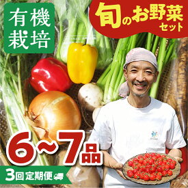 【ふるさと納税】《令和8年産 先行予約受付中》野菜の栄養価コンテストグランプリ農家が贈る 無農薬栽培 野菜セット 6-7品 3回お届け 定期便 お野菜のレシピ付き 野菜 定期便 お楽しみ ありがとうファーム 《hida0307》 どやな飛騨市