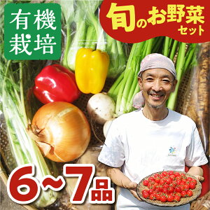 �y�ӂ邳�Ɣ[�Łz�y�ߘa8�N�Y��s�\���t���z��؂̉h�{���R���e�X�g�O�����v���_�Ƃ����� ���_��͔|��؃Z�b�g 6-7�i ���肪�Ƃ��t�@�[�� ����؂̃��V�s�t�� �I�ׂ邨�͂����� ���_��