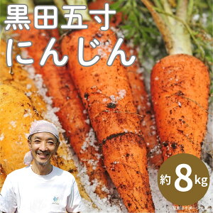 yӂ邳Ɣ[Łzsʌt󂠂 s Ђݗt yfCt L@lQ h{I 8kg Q\Ö@ɂЂpIɂ񂶂 jW lQ A 킯 PA ƒ