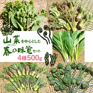 �y�ӂ邳�Ɣ[�Łz�s��s�\��t4~5�����͂� �t�̖��o�����͂��I�R�؂𒆐S�Ət�̖��o�Z�b�g [Q631] 12000�~ �R�� �l�ߍ��킹�Z�b�g �H�ה�� ��� 12000�~