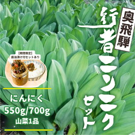【ふるさと納税】《先行予約》選べる内容量 奥飛騨産とれたて新鮮 生行者ニンニク 550g / 700g , 山菜1品 行者ニンニク 行者にんにく 醤油漬け 【2027年4月下旬〜5月上旬発送】[Q654xch Q655xch] 10000円 1万円 12000円