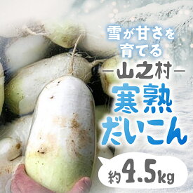 【ふるさと納税】在庫限り！満天☆青空レストラン で紹介 【1月下旬〜3月上旬発送】飛騨 山之村 清水さんちの「寒熟だいこん」完熟大根 約4.5kg 2〜6本 清水農園 野菜 産地直送 ダイコン 鍋 おでん 煮物[A0122wxch] 12000円