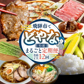【ふるさと納税】どやな飛騨市 定期便 選べるお届け回数 いろいろ お届け 6ヵ月 6回 12回 米 こしひかり 牛肉 肉 焼肉 飛騨牛 地鶏 焼き鳥 焼鳥 アイス チーズ ピザ 高山ラーメン 定期便 お楽しみ 6回 半年 1年 [Q3015] 100000円 10万円 20万円 どやな飛騨市