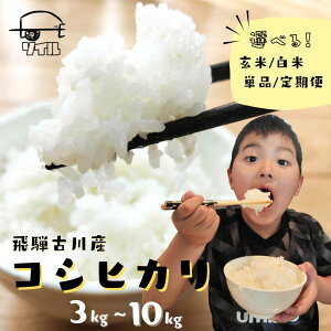 yӂ邳Ɣ[Łzߘa7NY s\ ߘa8NY V ˌÐY ʍ͔| Ђ Iׂ 3kg 5kg 10kg RVqJ V    ͂  A ĕs 2025 2026 ˎs ӂ邳Ɣ[ 